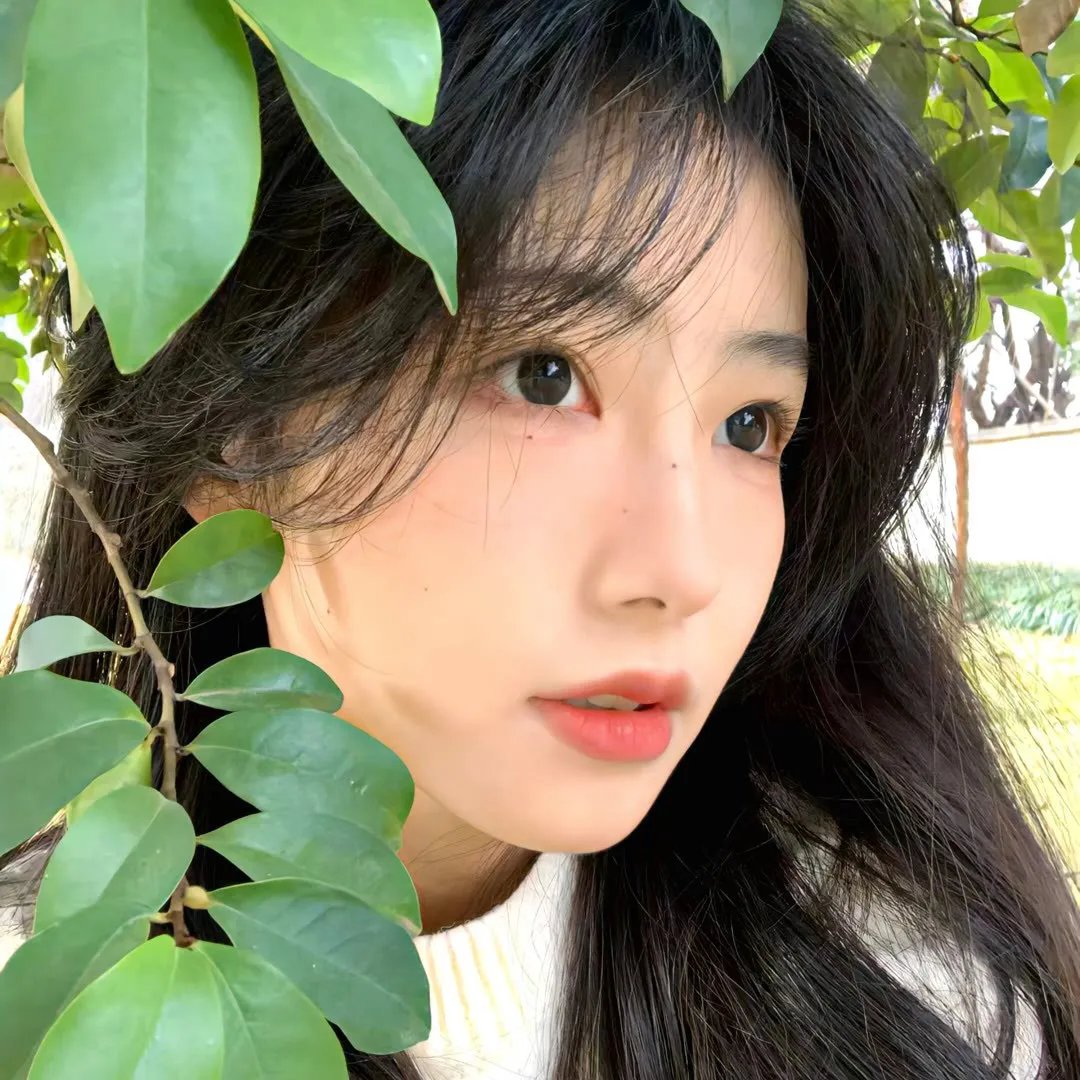 警之光第一季